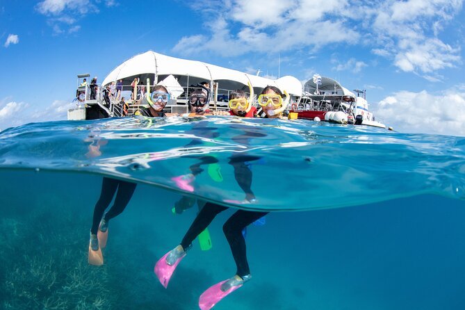 Fitzroy Island Reef & Glass Bottom Boat Tour